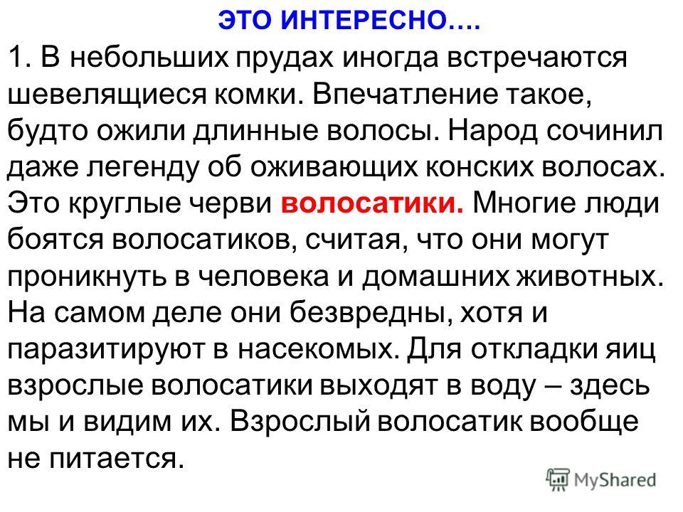 1. В небольших прудах иногда встречаются шевелящиеся комки. Впечатление такое, будто ожили длинные волосы. Народ сочинил даже легенду об оживающих кон