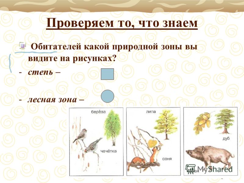 Что знаем обитателей какой природной Что знаем обитателей какой природной