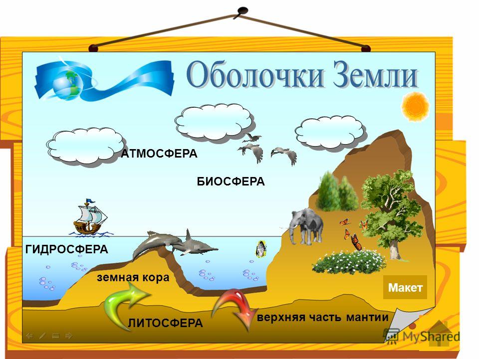 Тест по географии 8 класс что изучает физическая география россии
