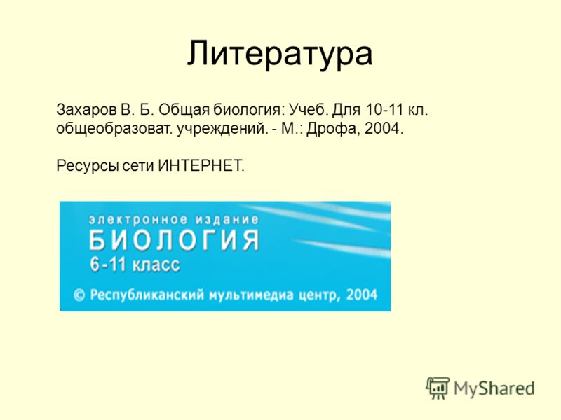 Презентация Видообразование 11 Класс Биология