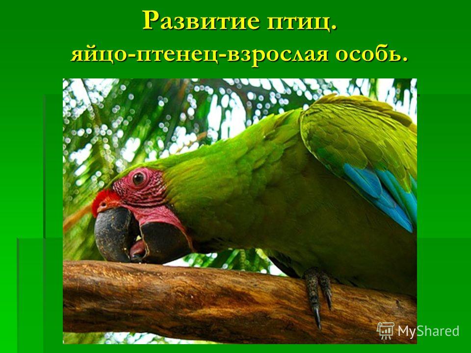 Гдз Математика Рудницкая 4 Класс Рудницкая