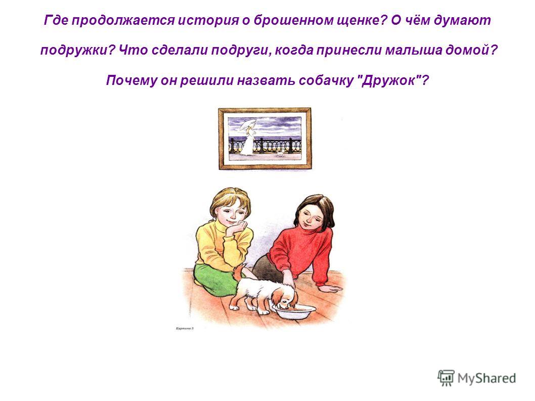 Что сделали подруги когда принесли Что сделали подруги когда принесли