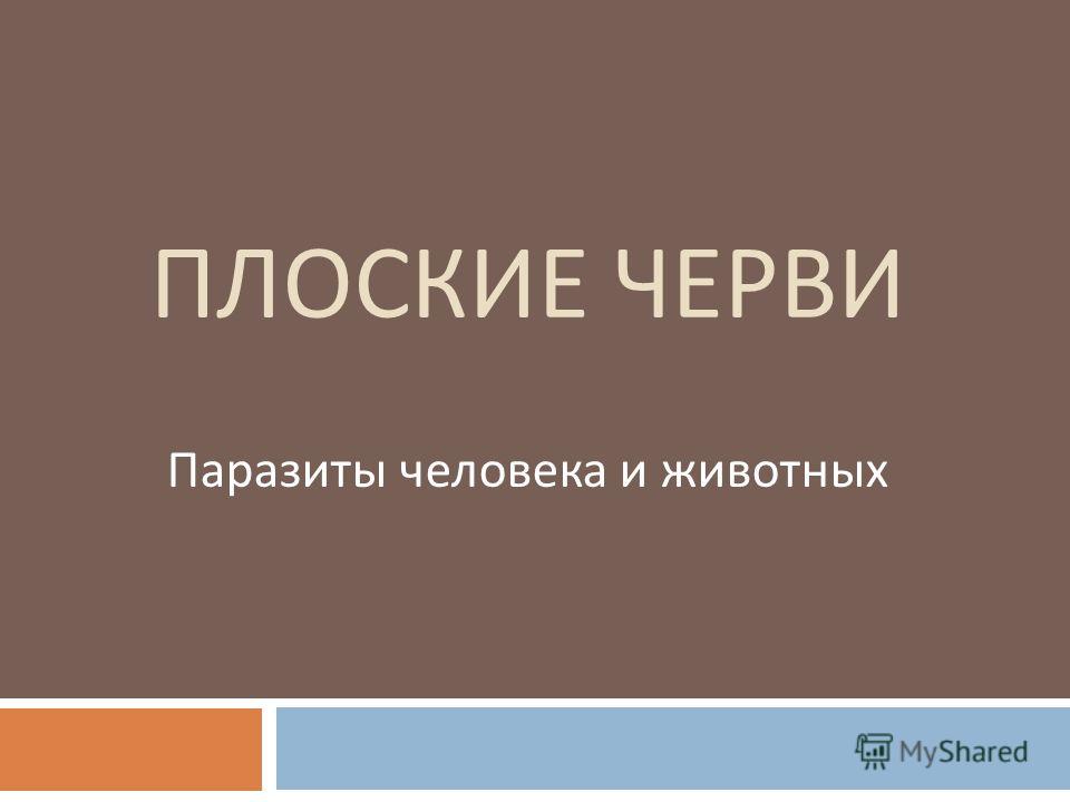 плоские паразиты в организме человека плоские паразиты в организме человека