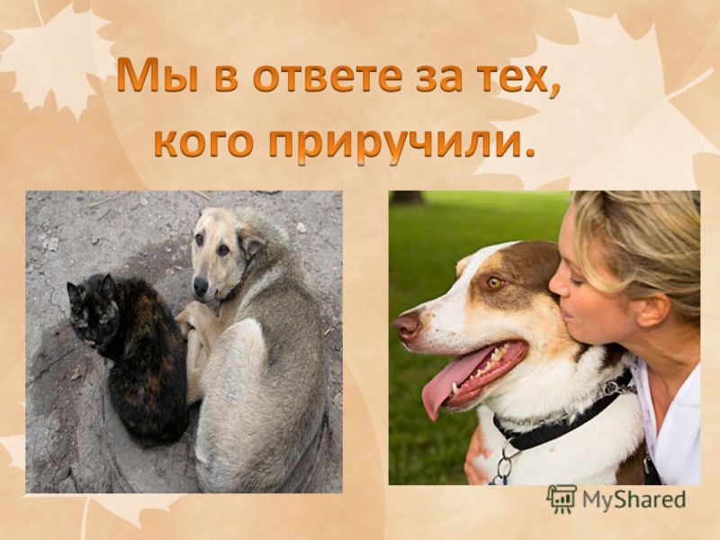 Перспективно тематическое планирование в первой младшей группе