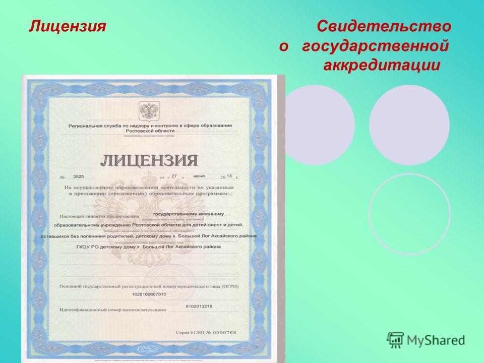 Ампельная герань уход в домашних условиях фото 71 Ампельная герань уход в домашних условиях фото 2