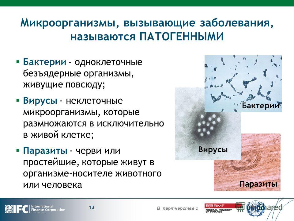микроорганизмы вызывающие неприятный запах изо рта микроорганизмы вызывающие неприятный запах изо рта