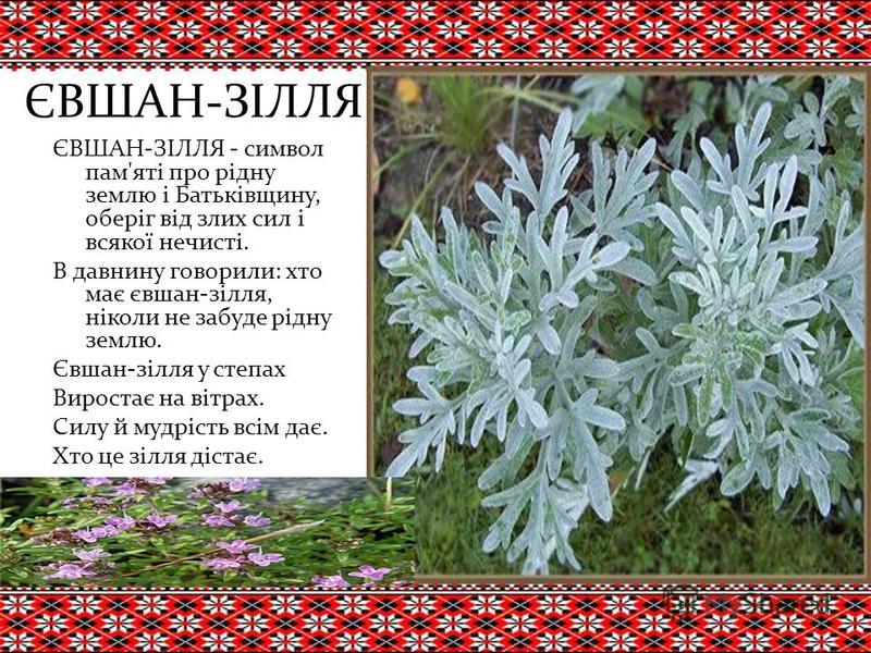 Реферат: Українські космогонічні легенди та перекази про квіти і хлібні злаки