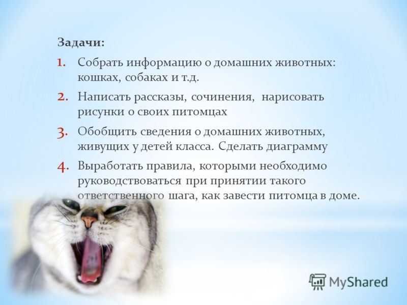 Как удалить и что это Как удалить и что это