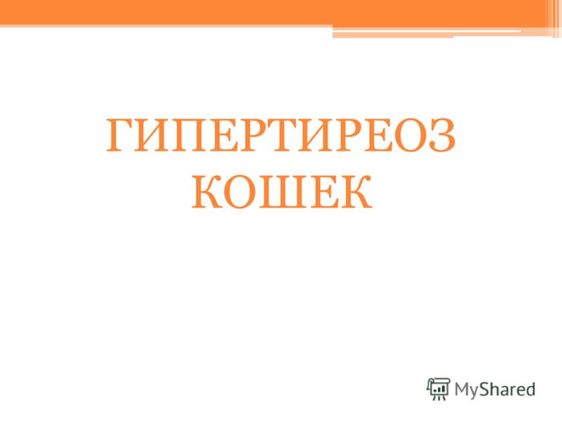 диета 20 кг за месяц отзывы похудевших диета 20 кг за месяц отзывы похудевших