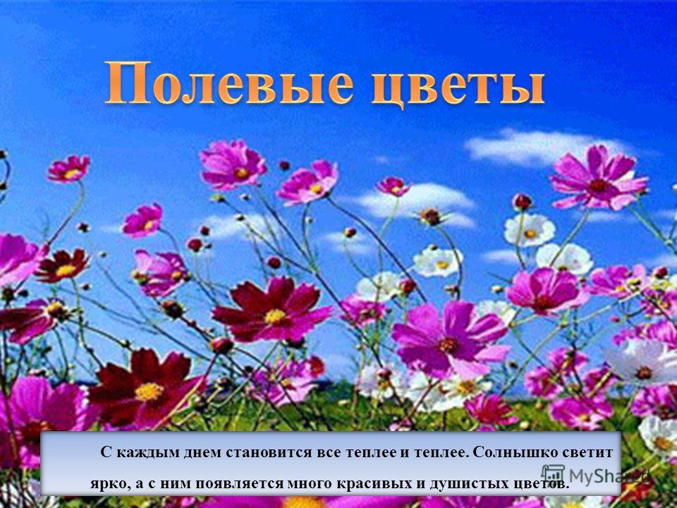 Поздравление м днём рождения подругу Поздравление м днём рождения подругу