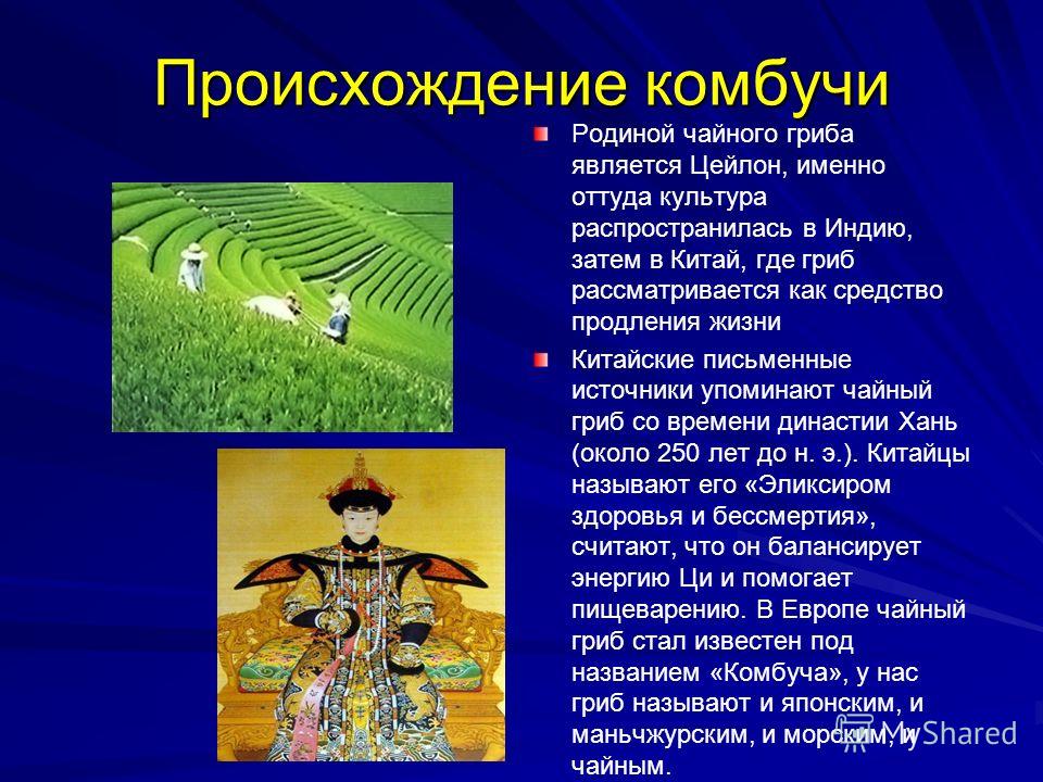 Антиэйджинговая терапия Антиэйджинговая терапия