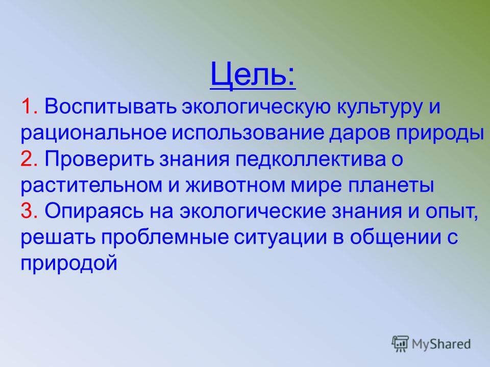 Самокат на зиму и лето