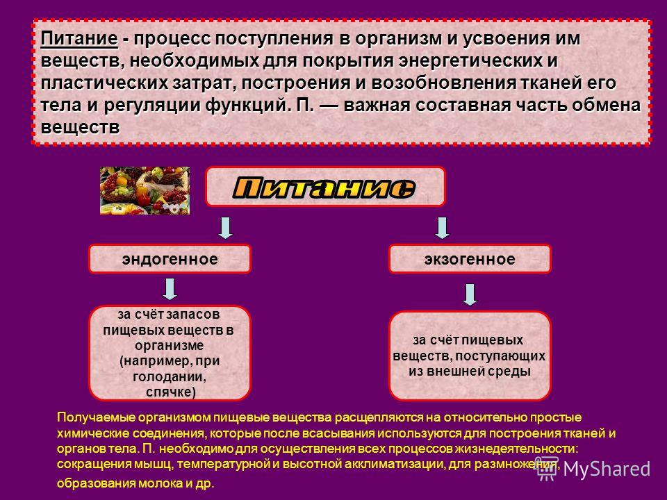 план питания для похудения на неделю 1500-1600 план питания для похудения на неделю 1500-1600