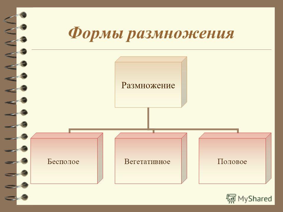 химия ярошенко 8 класс учебник