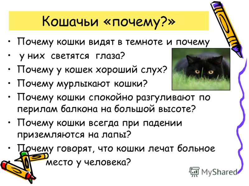 Гусь-пакетница своими руками Гусь-пакетница своими руками