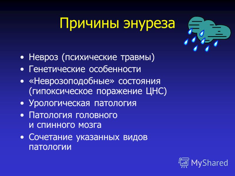 Куда сажают пчел при лечении
