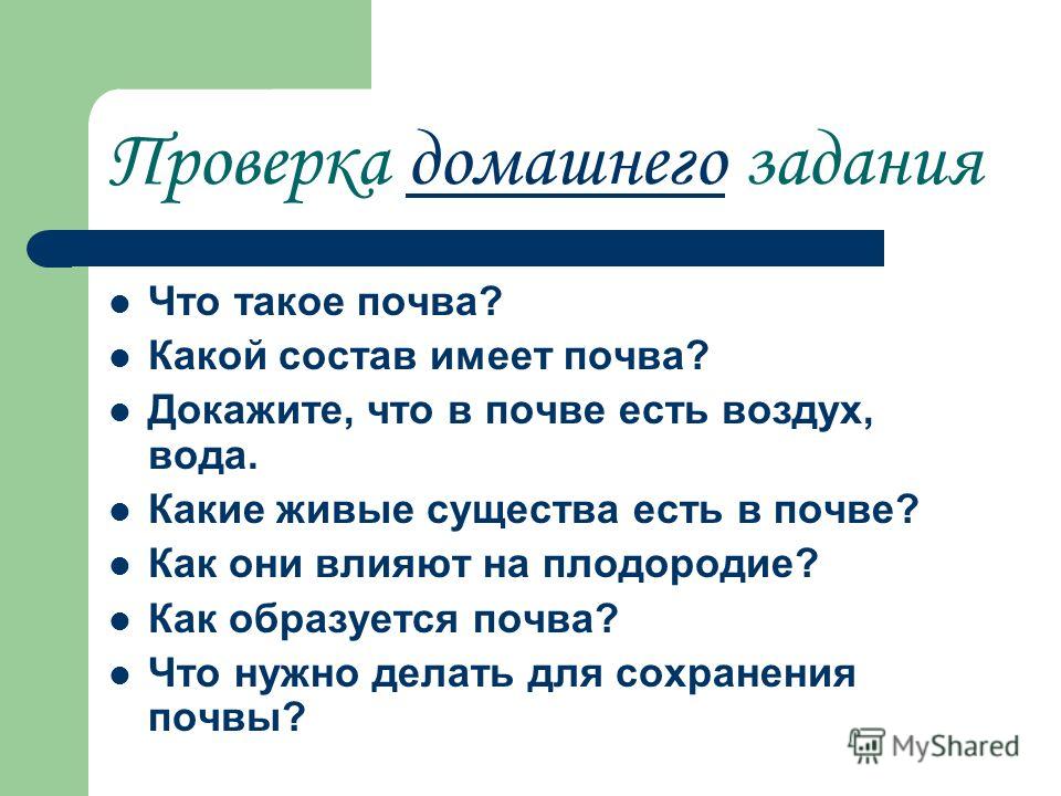Померанский шпиц: содержание и уход. Домашние собаки Отопление частного дома своими руками - схема, оборудование и