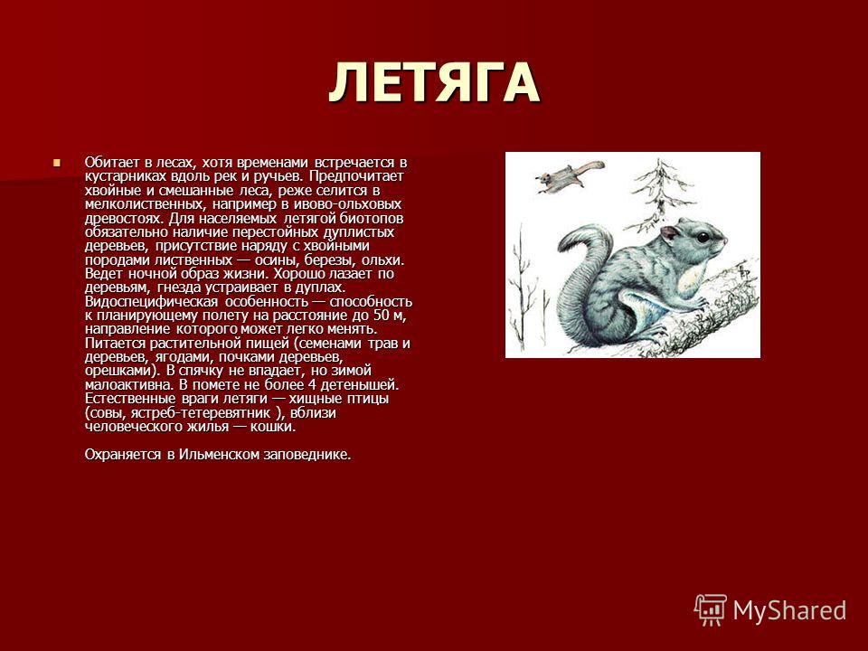 игра комп на черви4