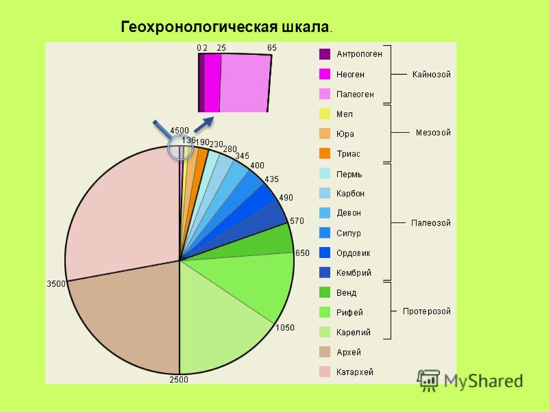 паразиты от суши фото паразиты от суши фото