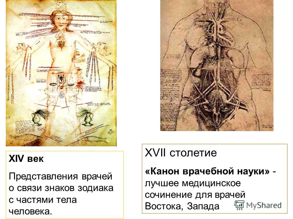 Кофейные магниты Кот КОФЕ ич - Ярмарка Мастеров Коты из фетра - выкройки и фото! Как сделать самой