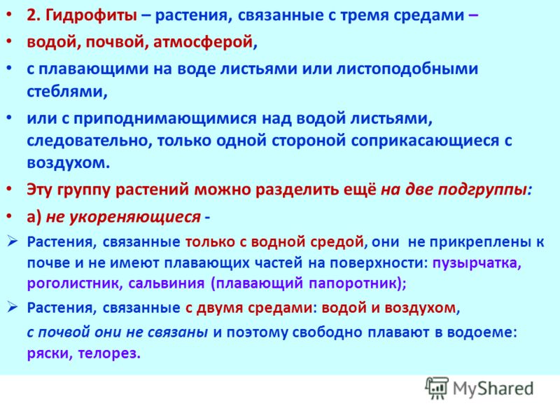 Как правильно посадить грушу весной, пошаговое руководство, в том числе Как сажать грушу весной: пошаговая инструкция