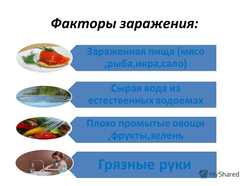 паразиты в суставах человека паразиты в суставах человека
