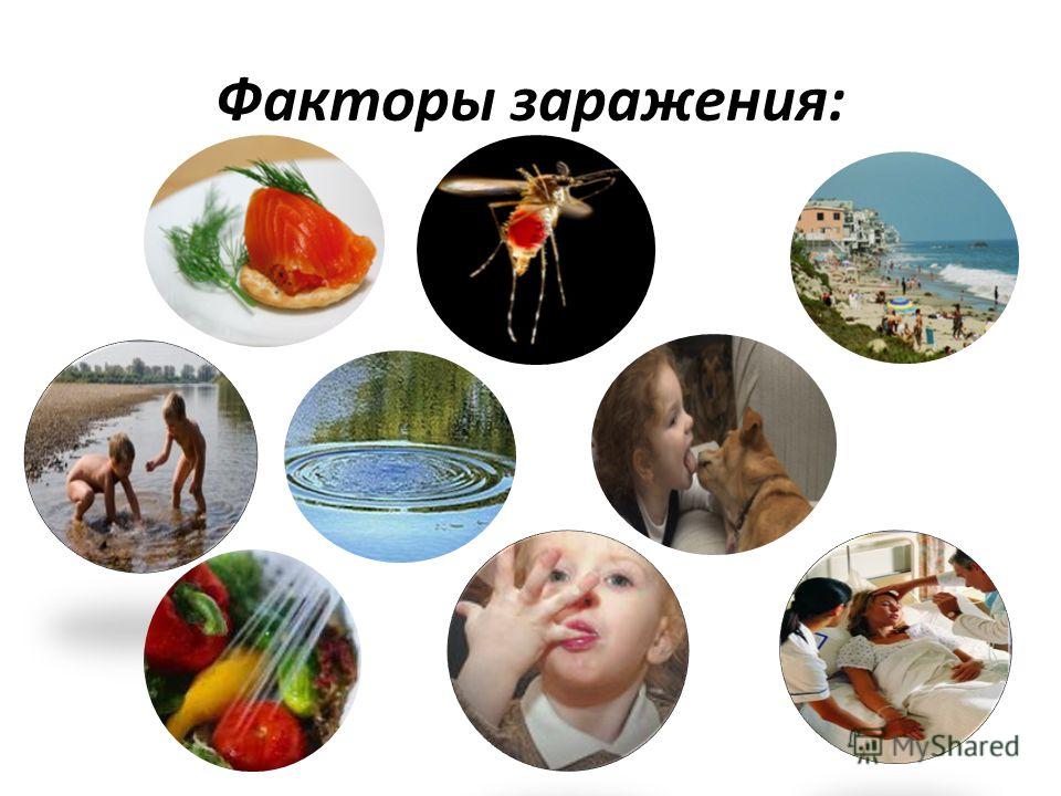 черви у человека в мышцах черви у человека в мышцах