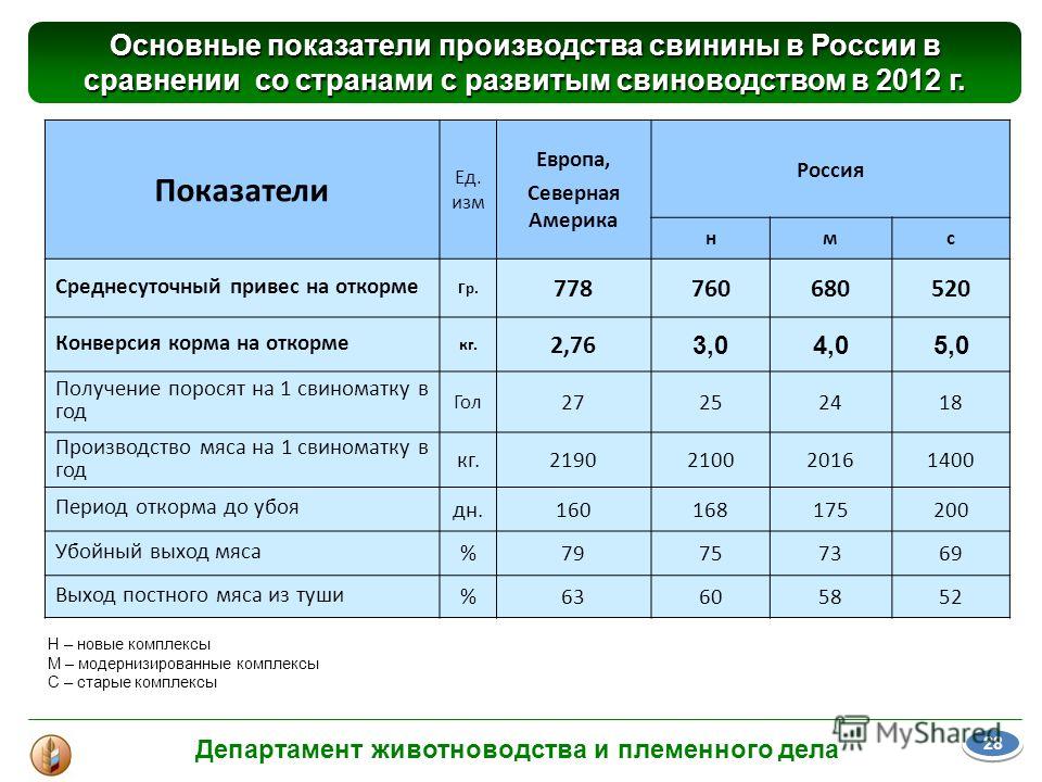 Новые рецепты горячих блюд для праздничного стола