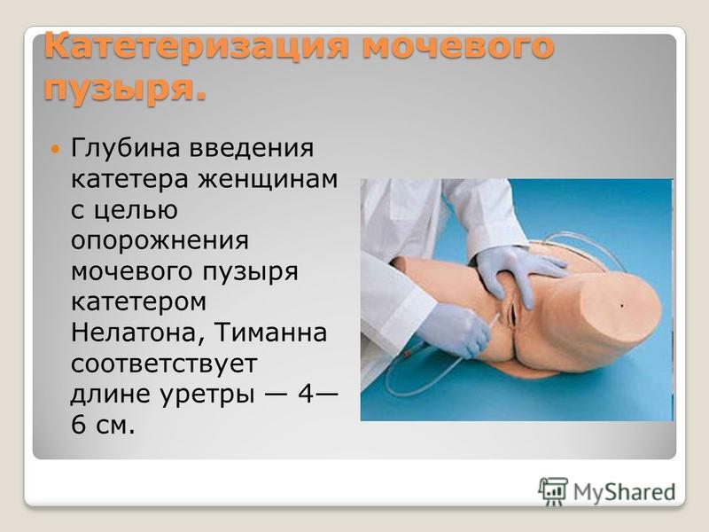 Как в домашних условиях сделать домашнее виноградное вино Как в домашних условиях сделать домашнее виноградное вино