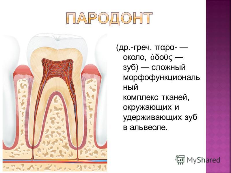 Медицинский центр УРО-ПРО частная клиника в Материалы для ресниц и бровей. VK
