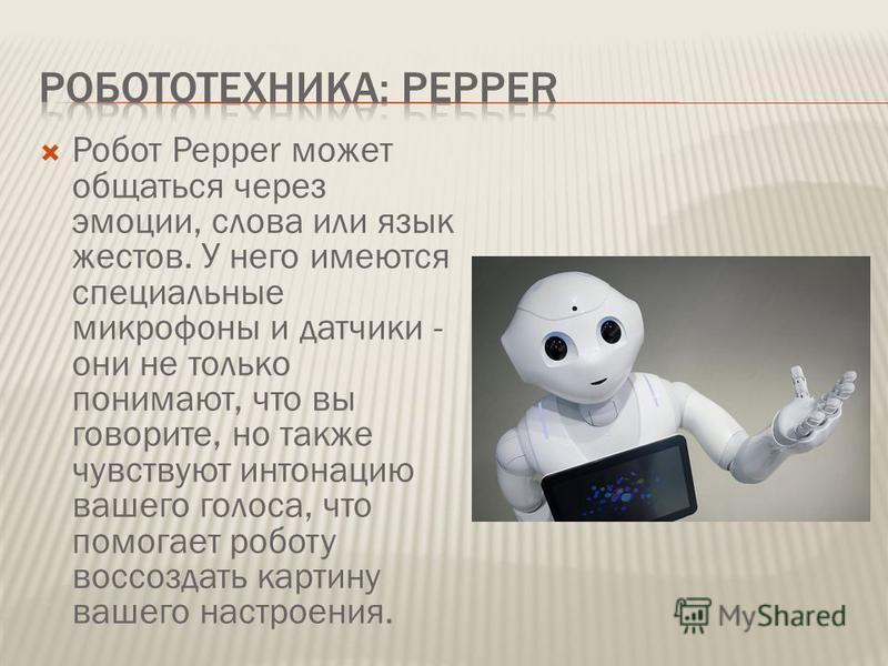 Экологический дизайн презентация Экологический дизайн презентация