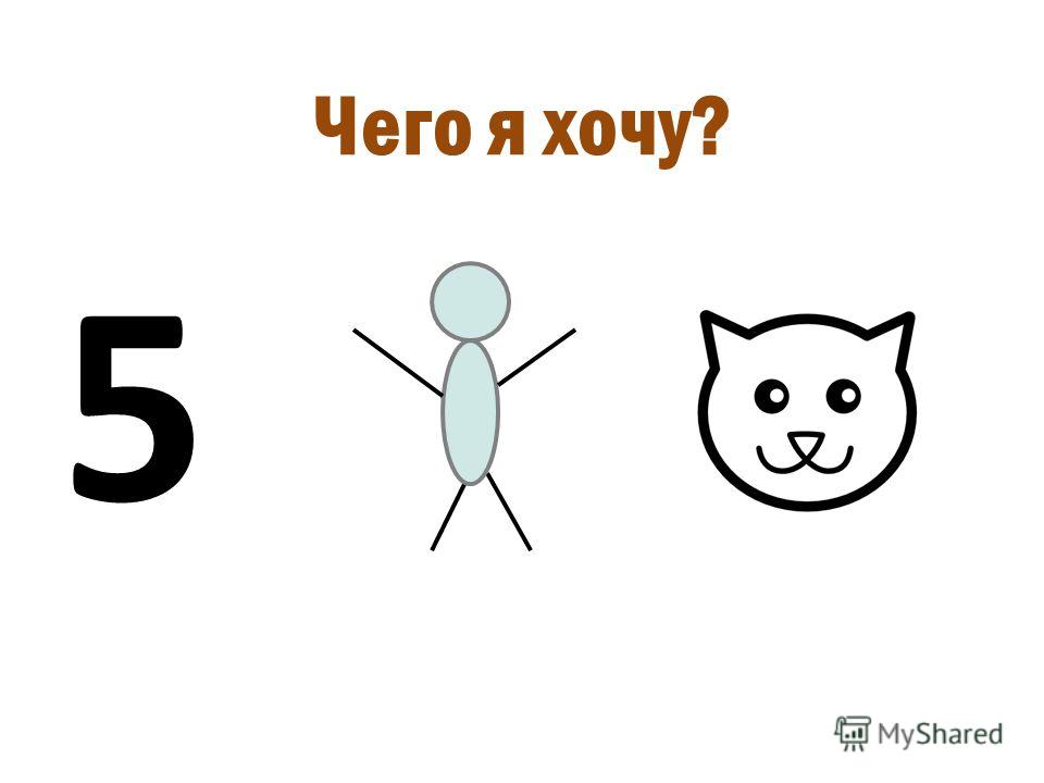 Смена зубов у млекопитающих Смена зубов у млекопитающих