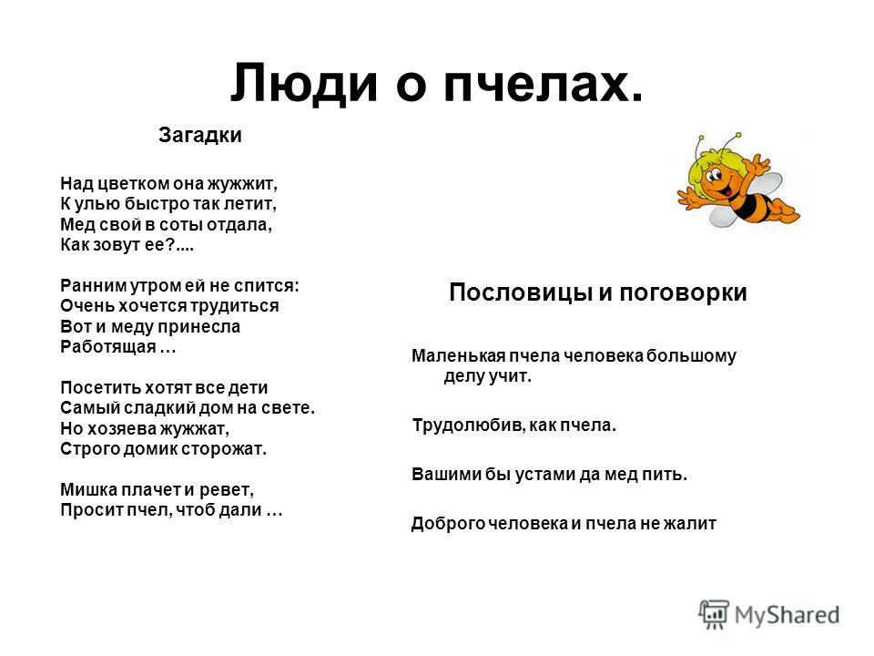 Гибкость - качество идеальной жены Газета Вольная Кубань