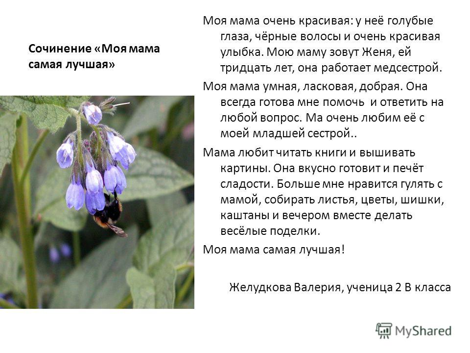 самая лучшая» Моя мама очень красивая