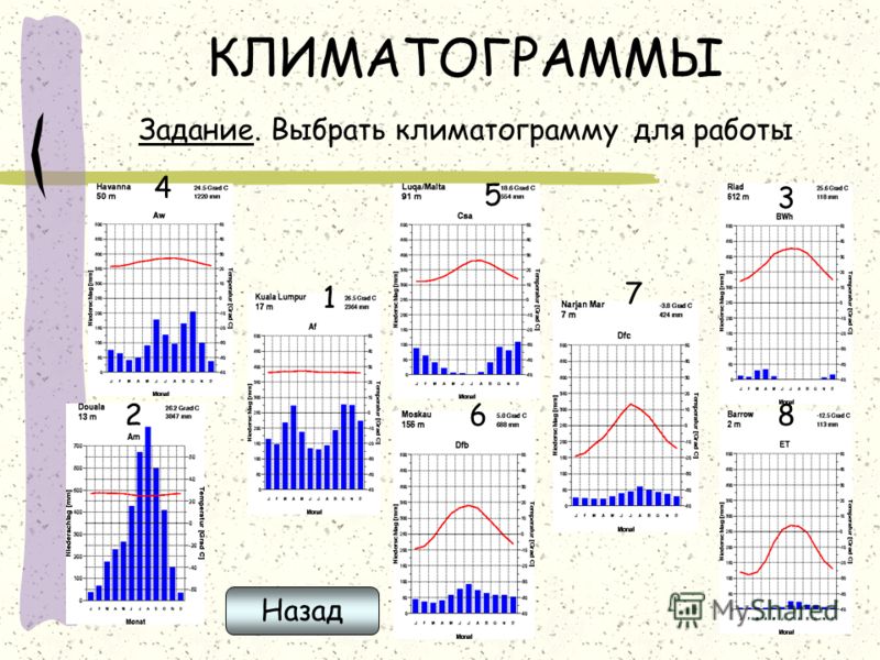практическая работа 4 поиск информации в интернет практическая работа 4 поиск информации в интернет
