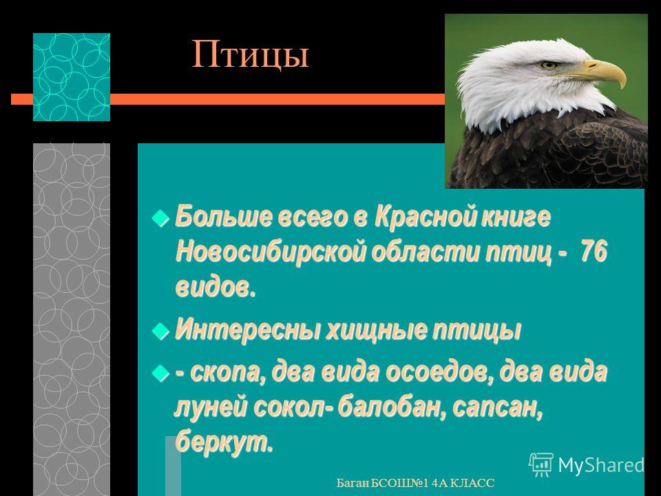 Математика для будущих первоклассников презентация