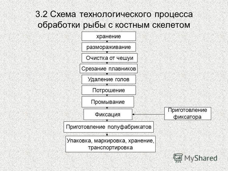 Схема обработки рыбы с хрящевым скелетом - TouristMaps.ru