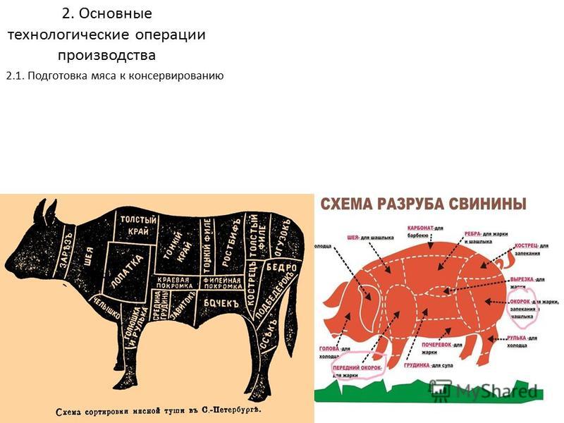 Курсовая работа: Ассортимент и товароведная характеристика мясорастительных консервов Каша с мясом , реализуе