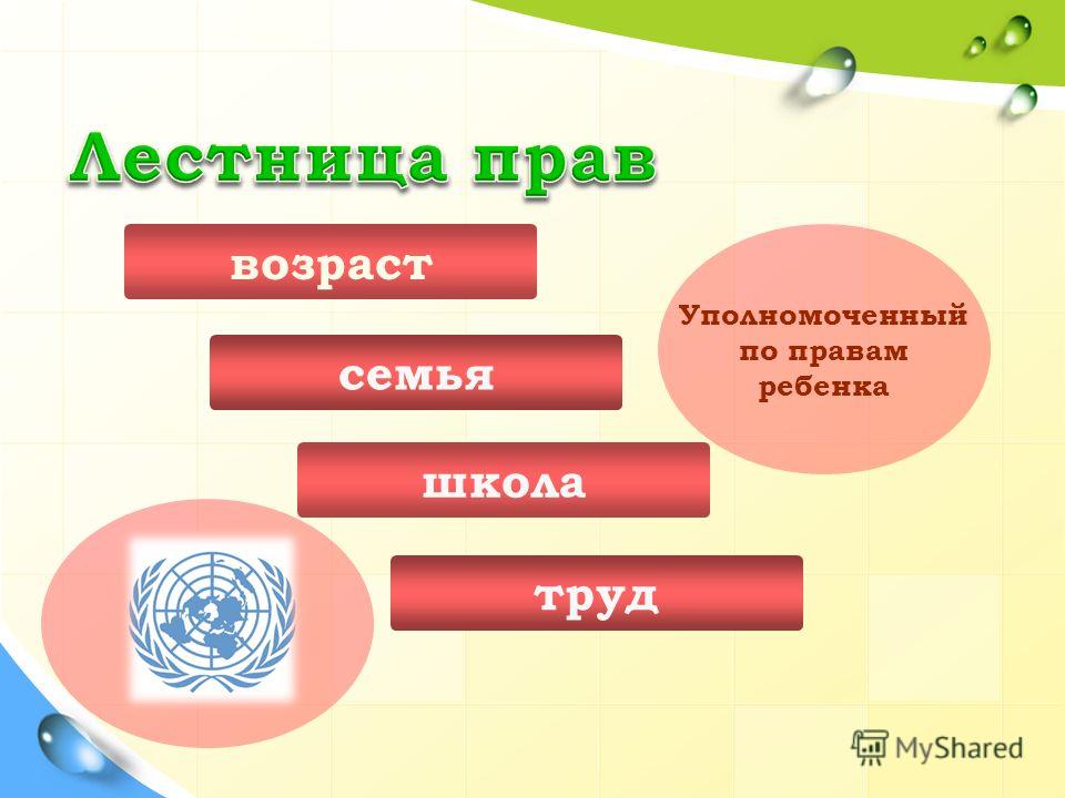 Семейный Кодекс РФ скачать