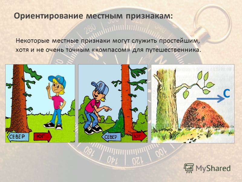 Презентация Компас Ориентирование По Компасу Презентация Компас Ориентирование По Компасу