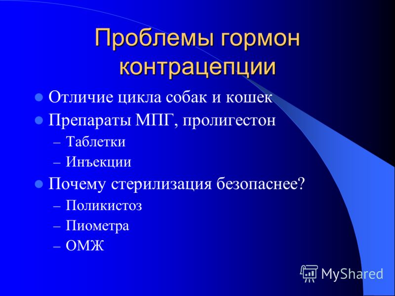 гнойный эндометрит кошек