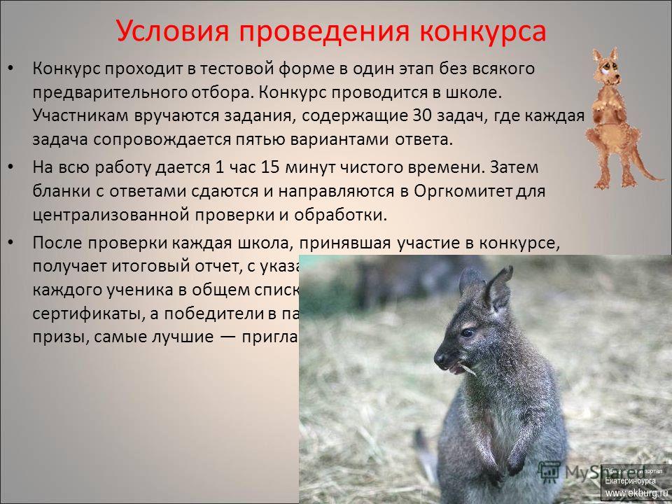 Практическая Работа по Биологии 10 Класс Ответы