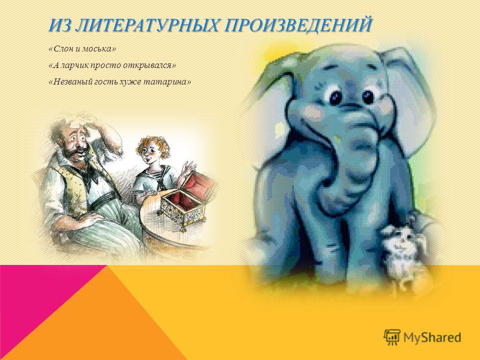 Зубы презентация на английском Зубы презентация на английском