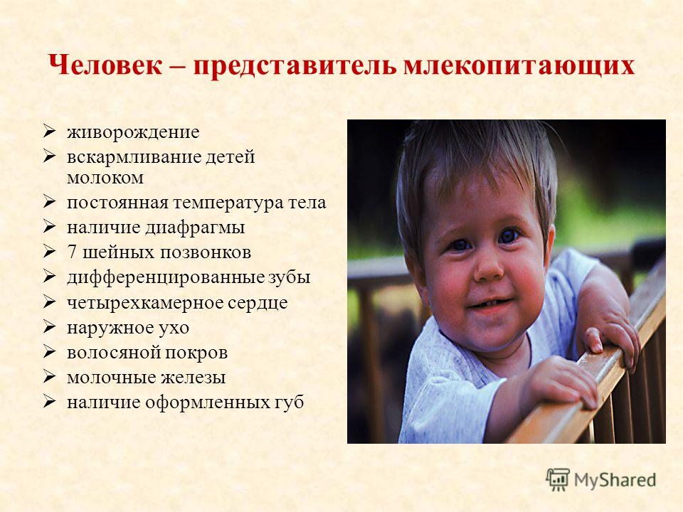 Презентация Люди и Труд 8 Класс