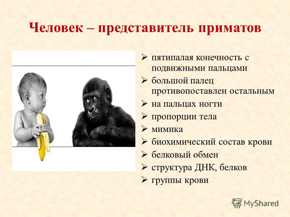 Презентация Люди и Труд 8 Класс