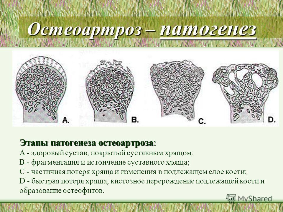 Болит кожа спины - СпросиДоктора Болезни суставов ног: причины, симптомы, лечение и профилактика