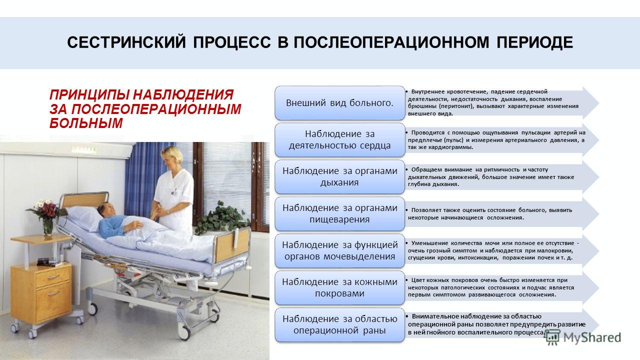 Николай Носов: биография в занимательных рассказах Мусорный остров в Тихом океане