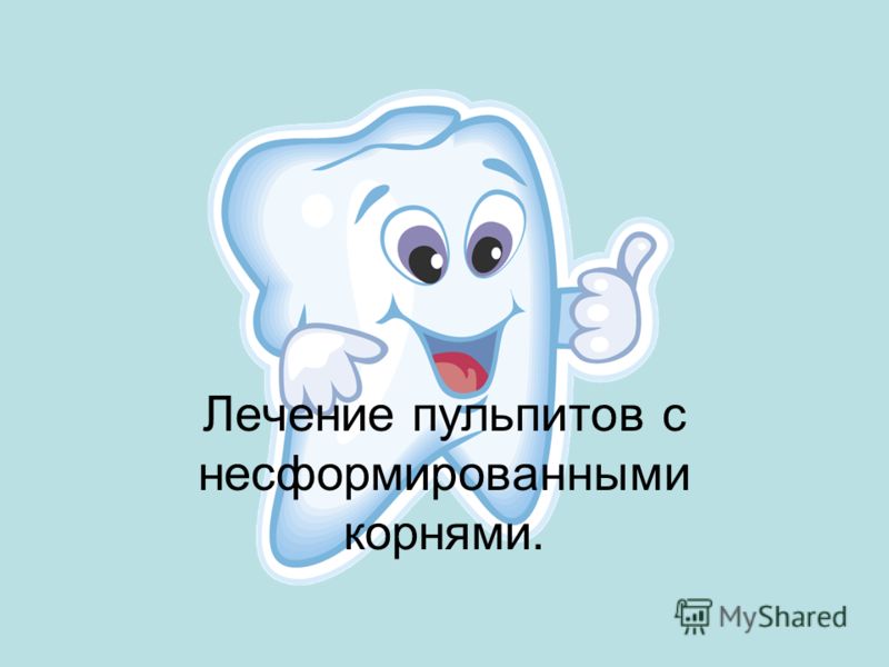Формула зубов с корнями Формула зубов с корнями