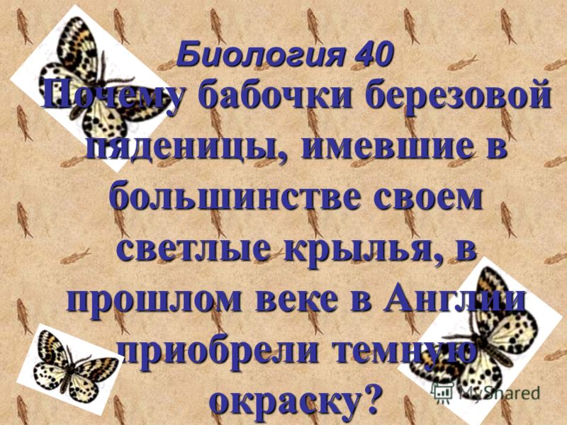 Биология 40 Почему бабочки березовой пяденицы, имевшие в большинстве своем светлые крылья, в прошлом веке в Англии приобрели темную окраску?