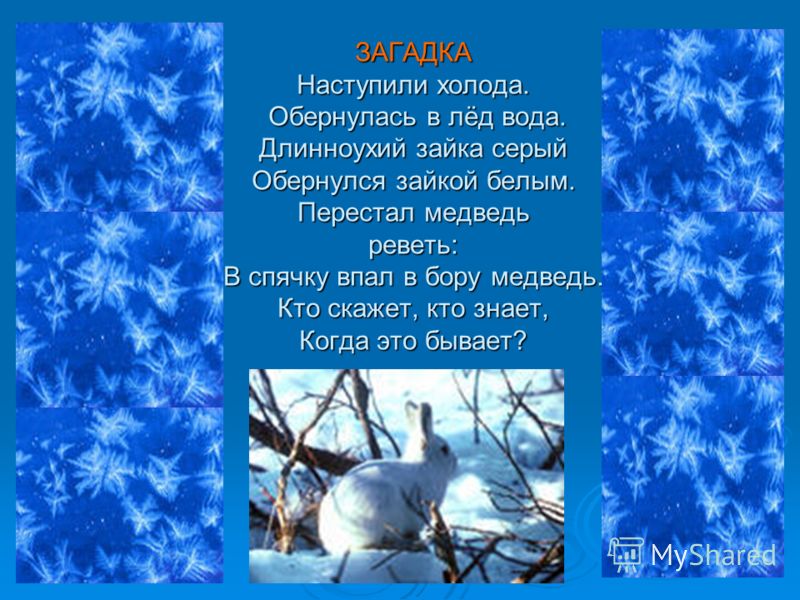 Он холодный как лед стих Он холодный как лед стих